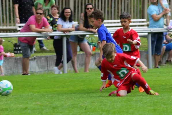 Bambini-Turnier 2019 VfR Bad Lobenstein