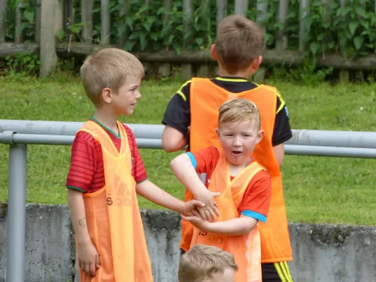 VEREINSFEST 2016 - Das DFB Mobil ist da