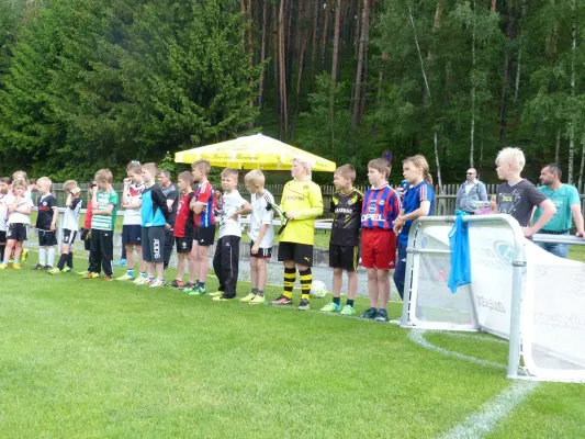 VEREINSFEST 2016 - Das DFB Mobil ist da