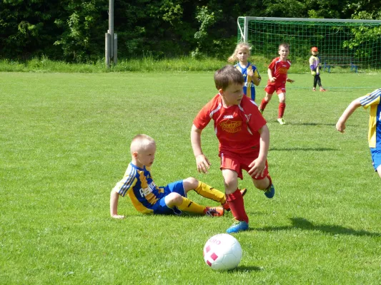 VEREINSFEST 2016 - Bambini Vorrunde