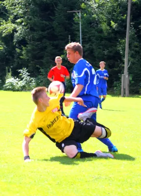 Testspiel SG VfR (A) - Neustadt (A)