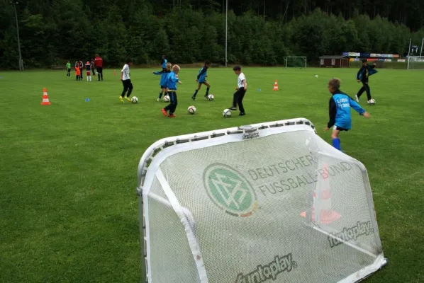 DFB-Mobil im Koseltal - 2017