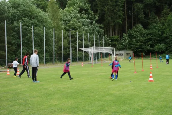 DFB-Mobil im Koseltal - 2017