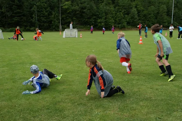 DFB-Mobil im Koseltal - 2017