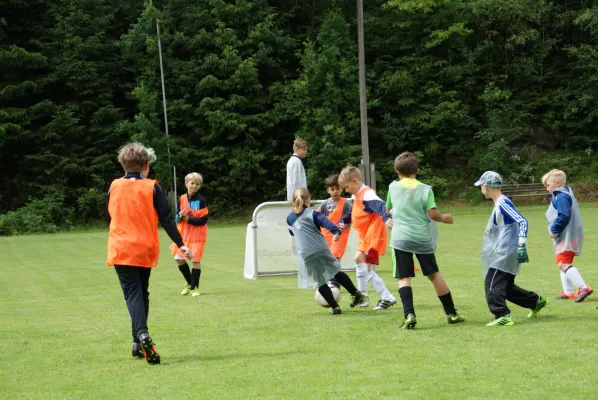 DFB-Mobil im Koseltal - 2017
