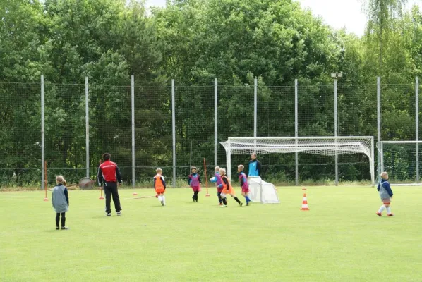 DFB-Mobil im Koseltal - 2017