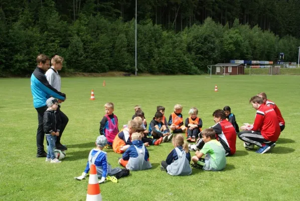 DFB-Mobil im Koseltal - 2017