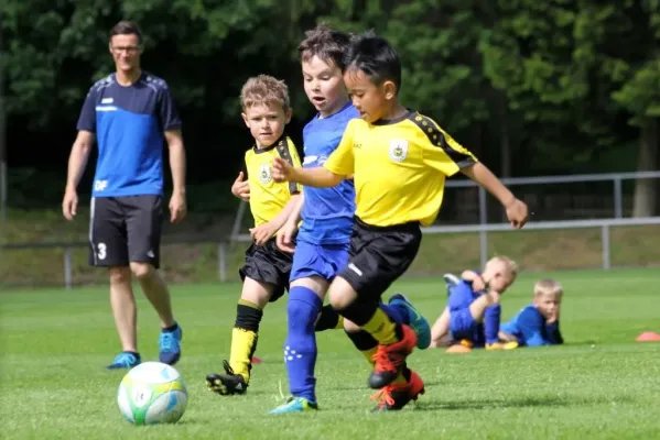 Bambini-Turnier 2019 VfR Bad Lobenstein