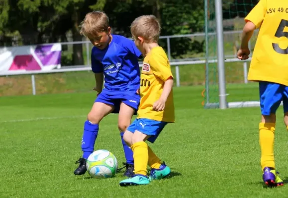 Bambini-Turnier 2019 VfR Bad Lobenstein