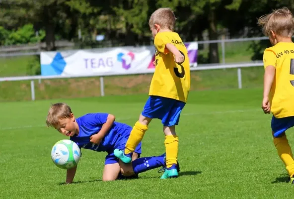 Bambini-Turnier 2019 VfR Bad Lobenstein