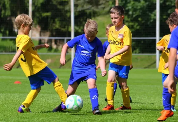 Bambini-Turnier 2019 VfR Bad Lobenstein