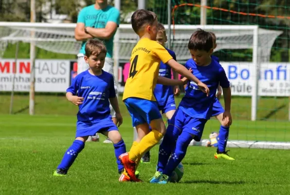 Bambini-Turnier 2019 VfR Bad Lobenstein