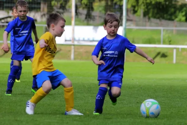 Bambini-Turnier 2019 VfR Bad Lobenstein