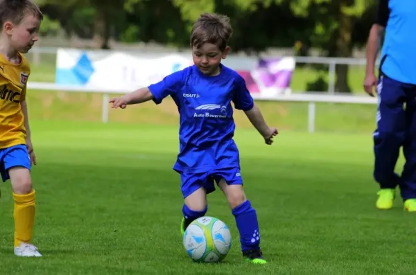 Bambini-Turnier 2019 VfR Bad Lobenstein