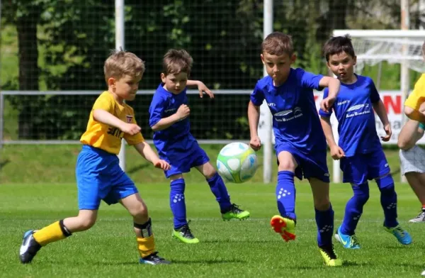 Bambini-Turnier 2019 VfR Bad Lobenstein