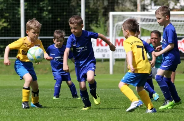 Bambini-Turnier 2019 VfR Bad Lobenstein