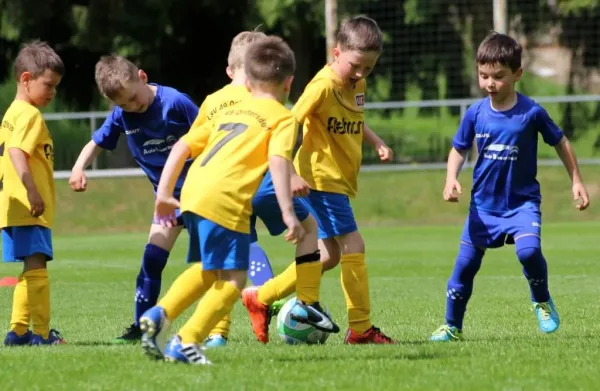 Bambini-Turnier 2019 VfR Bad Lobenstein