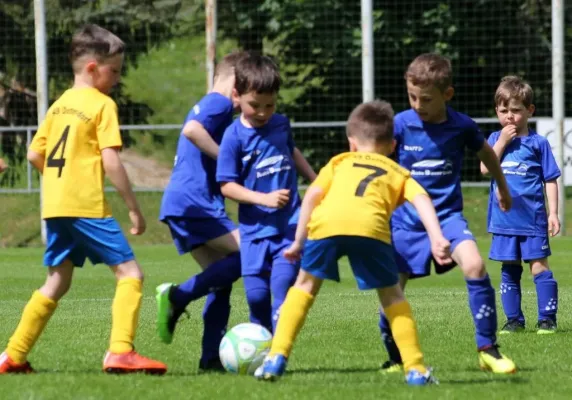 Bambini-Turnier 2019 VfR Bad Lobenstein