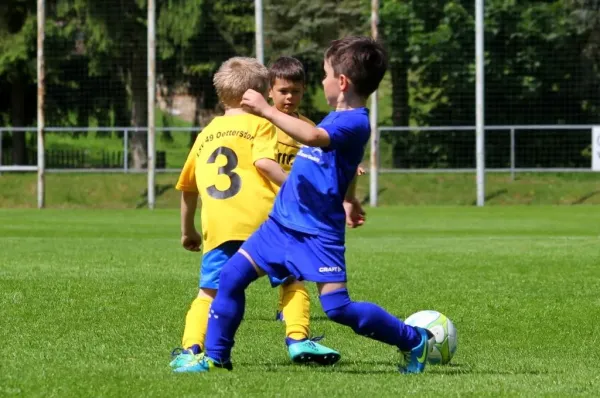 Bambini-Turnier 2019 VfR Bad Lobenstein