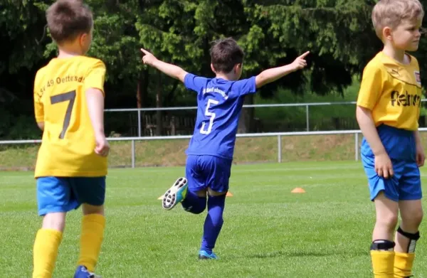 Bambini-Turnier 2019 VfR Bad Lobenstein