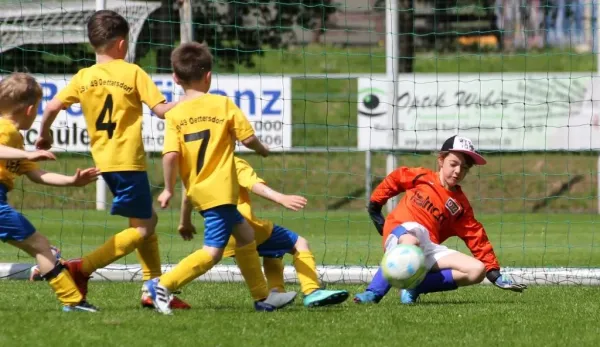 Bambini-Turnier 2019 VfR Bad Lobenstein