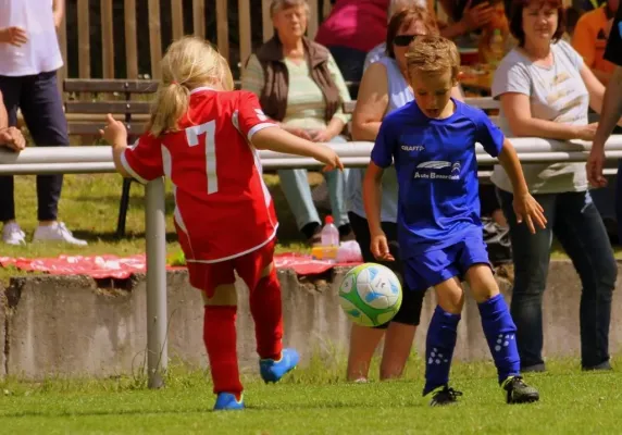 Bambini-Turnier 2019 VfR Bad Lobenstein