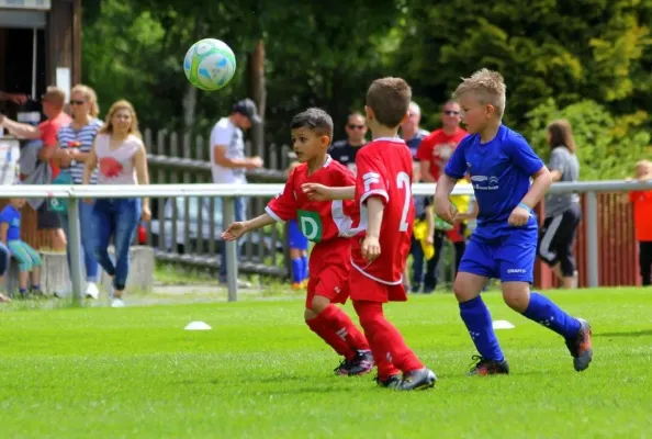 Bambini-Turnier 2019 VfR Bad Lobenstein