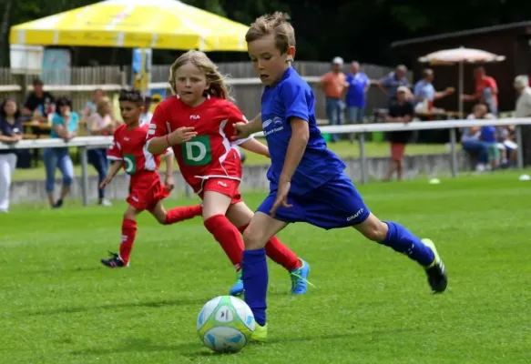 Bambini-Turnier 2019 VfR Bad Lobenstein