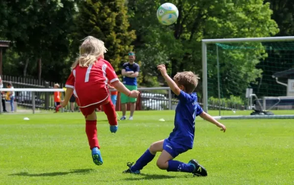 Bambini-Turnier 2019 VfR Bad Lobenstein