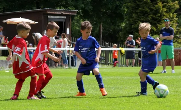 Bambini-Turnier 2019 VfR Bad Lobenstein