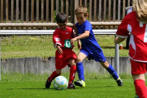 Bambini-Turnier 2019 VfR Bad Lobenstein