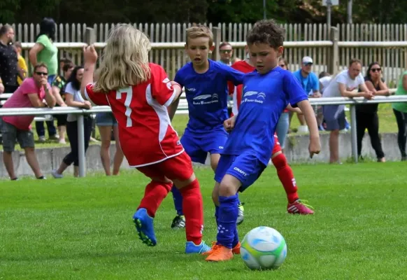 Bambini-Turnier 2019 VfR Bad Lobenstein