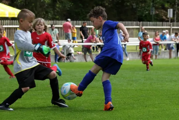 Bambini-Turnier 2019 VfR Bad Lobenstein