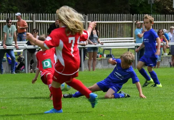 Bambini-Turnier 2019 VfR Bad Lobenstein