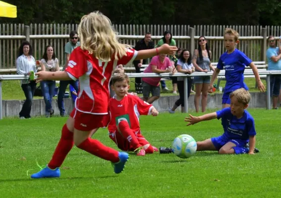 Bambini-Turnier 2019 VfR Bad Lobenstein