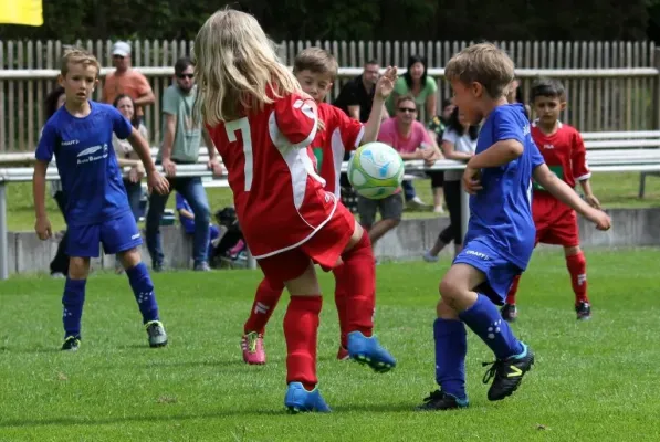 Bambini-Turnier 2019 VfR Bad Lobenstein