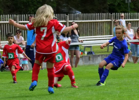 Bambini-Turnier 2019 VfR Bad Lobenstein