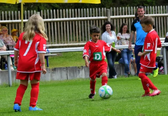 Bambini-Turnier 2019 VfR Bad Lobenstein