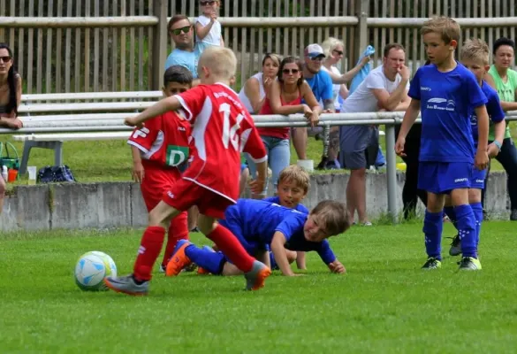 Bambini-Turnier 2019 VfR Bad Lobenstein