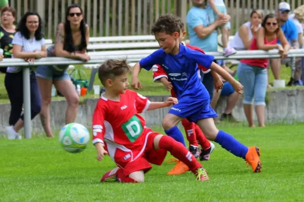 Bambini-Turnier 2019 VfR Bad Lobenstein