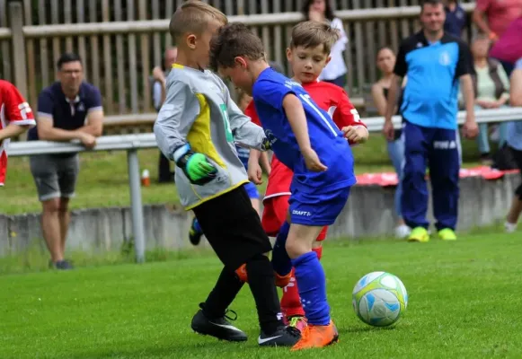 Bambini-Turnier 2019 VfR Bad Lobenstein