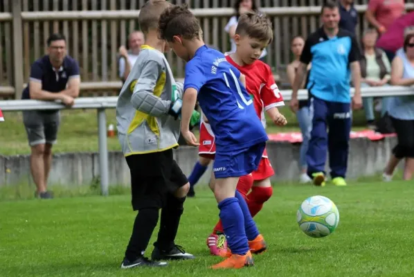 Bambini-Turnier 2019 VfR Bad Lobenstein