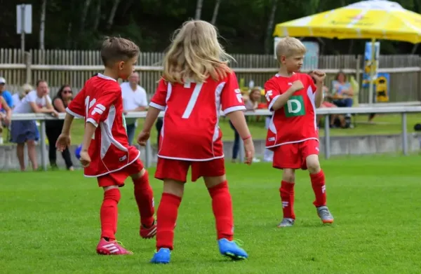 Bambini-Turnier 2019 VfR Bad Lobenstein