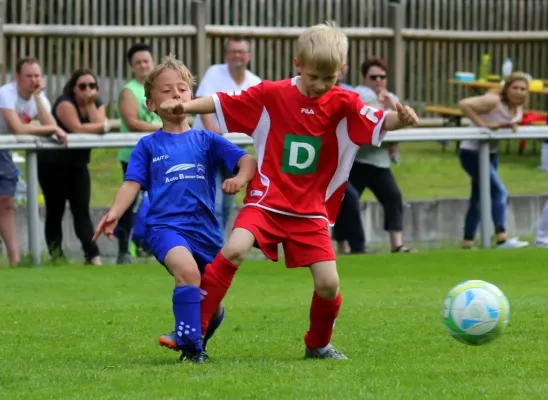 Bambini-Turnier 2019 VfR Bad Lobenstein