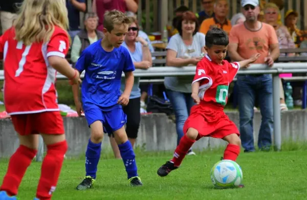 Bambini-Turnier 2019 VfR Bad Lobenstein