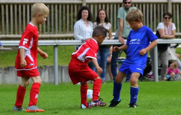 Bambini-Turnier 2019 VfR Bad Lobenstein