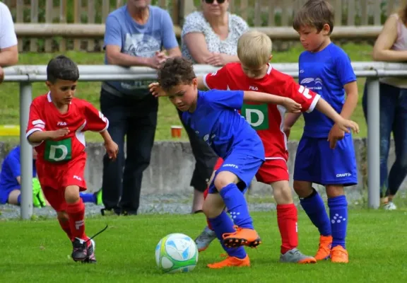 Bambini-Turnier 2019 VfR Bad Lobenstein