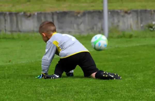 Bambini-Turnier 2019 VfR Bad Lobenstein