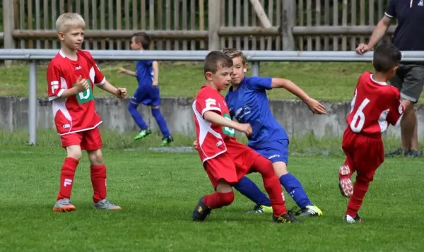 Bambini-Turnier 2019 VfR Bad Lobenstein