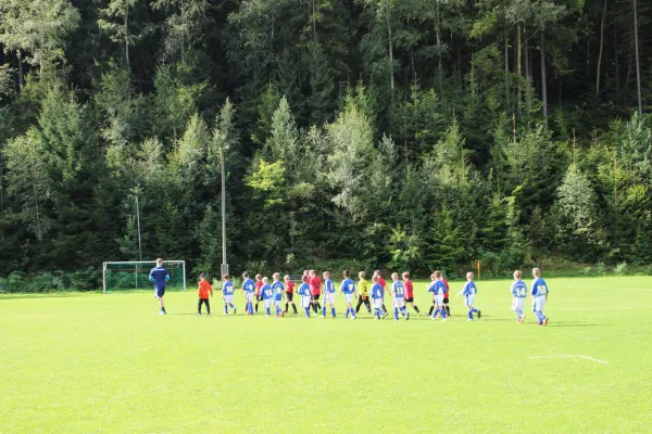 20.08.2017 VfR Bad Lobenstein vs. SG TSV 1860 Ranis